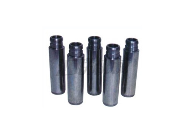 L-0600 H06CT Hino valve guides