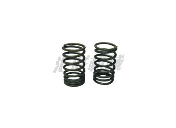 L-0625 6BD1 valve spring