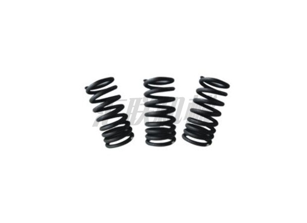 L-0626 S6K valve spring