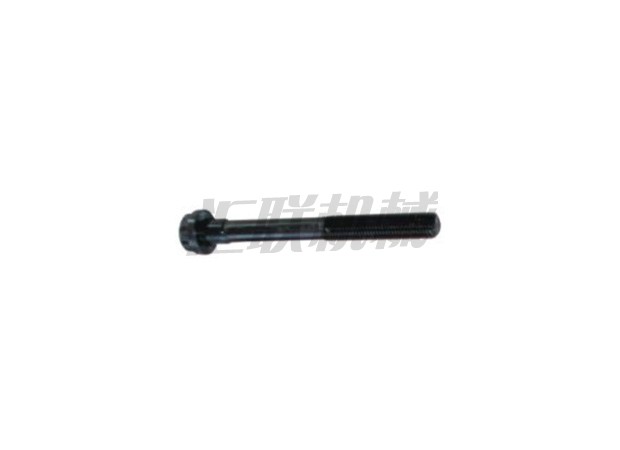 L-0636 6BD1 cylinder head screws