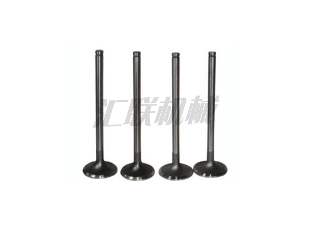 L-0560 S6D170 Komatsu valve