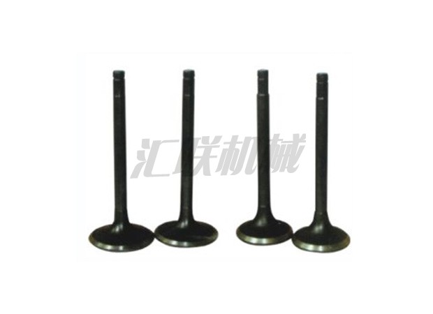 L-0569 6SD1 Isuzu valve