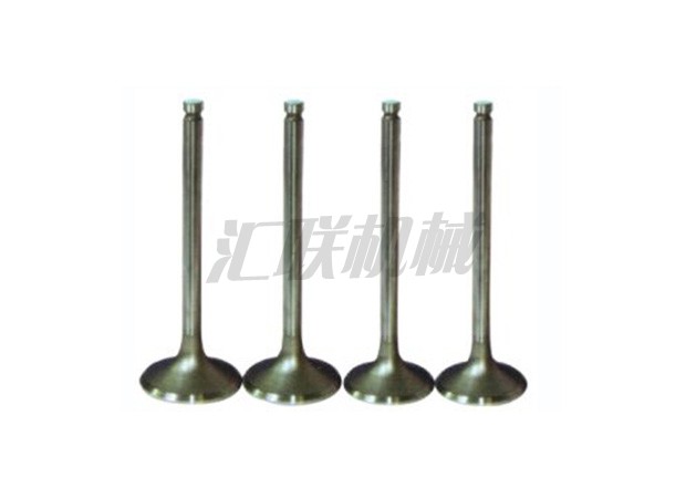 L-0570 6BD1 Isuzu valve