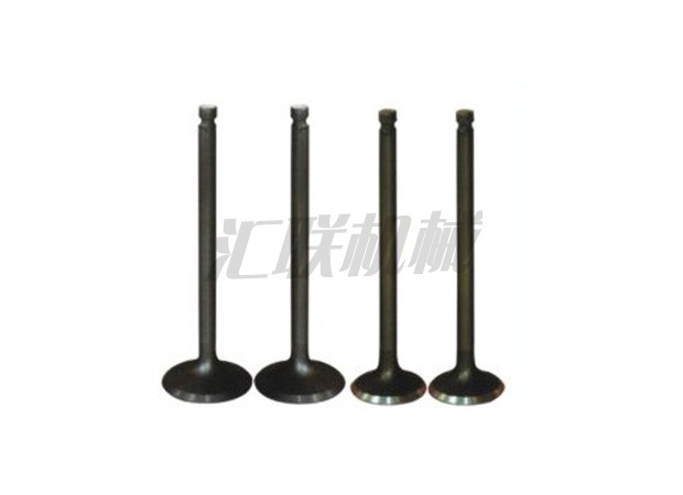 L-0555 6D34 Mitsubishi valve