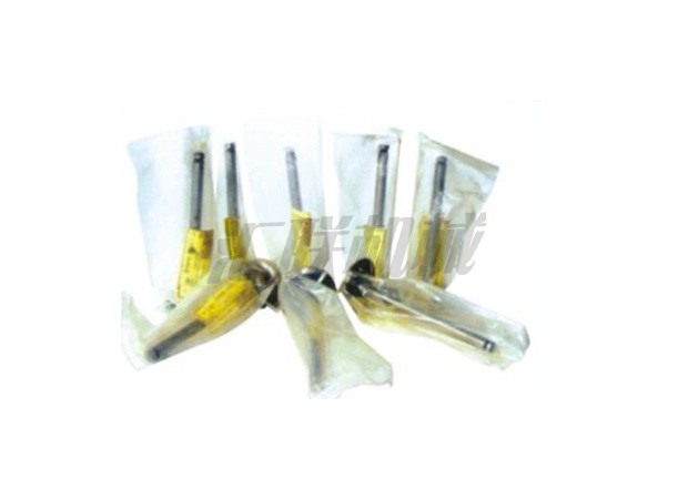 L-0558 Fd33 Nissan valve