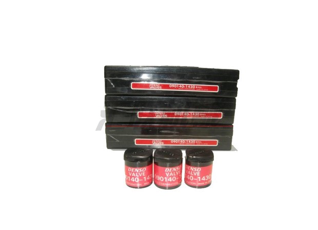 L-1341 Denso plunger